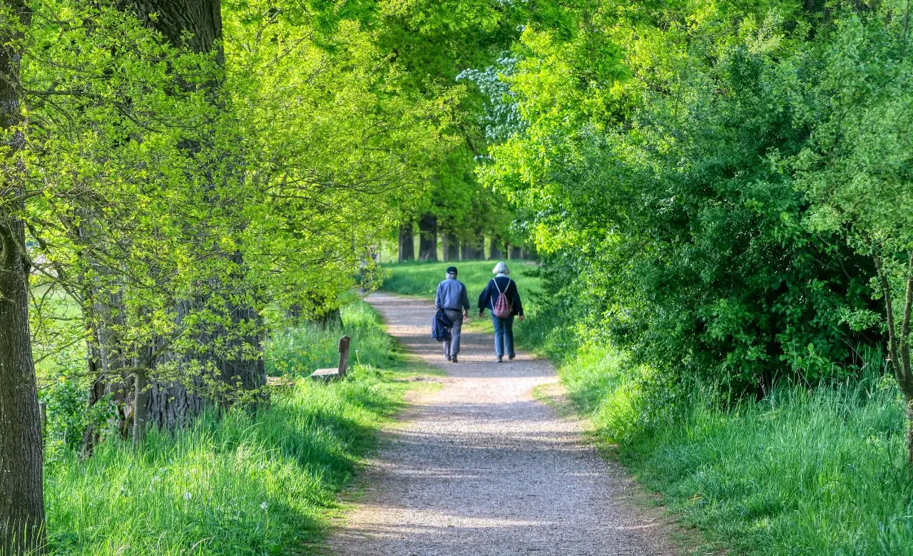 La camminata perfetta per il cuore: quanti minuti fare al giorno La camminata perfetta per il cuore: quanti minuti fare al giorno