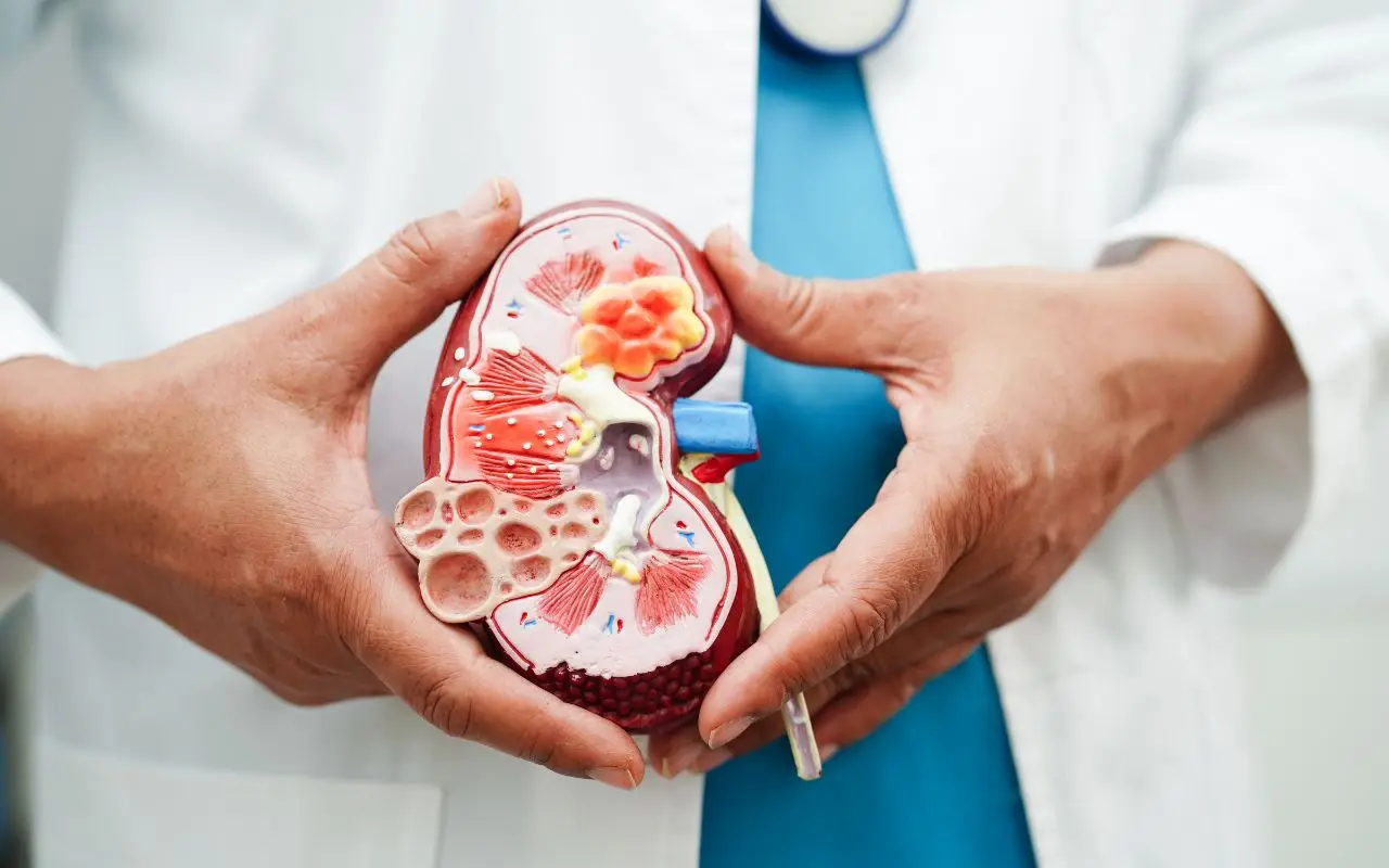 Come depurare i reni senza farmaci: 3 bevande consigliate Come depurare i reni senza farmaci: 3 bevande consigliate