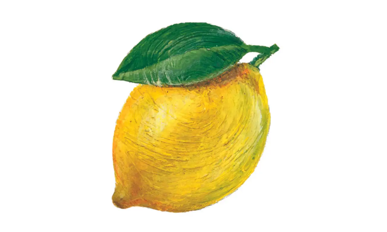 Non usare il limone sul marmo: ecco perché lo rovina Non usare il limone sul marmo: ecco perché lo rovina