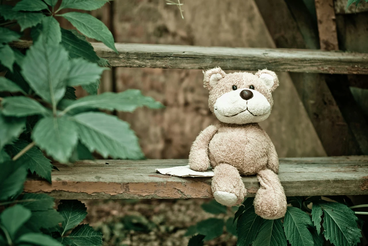 Come pulire i peluche senza lavatrice: il metodo sicuro da bambini Come pulire i peluche senza lavatrice: il metodo sicuro da bambini