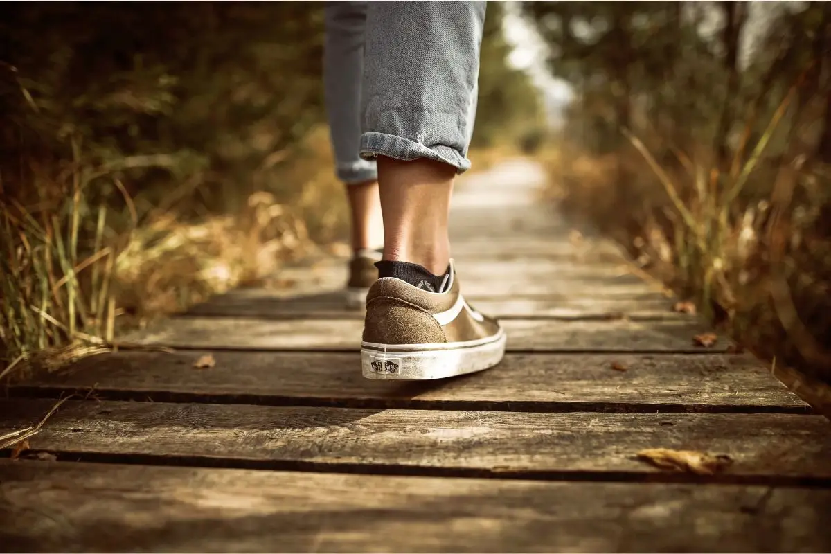 La camminata perfetta per il cuore: quanti minuti fare al giorno La camminata perfetta per il cuore: quanti minuti fare al giorno