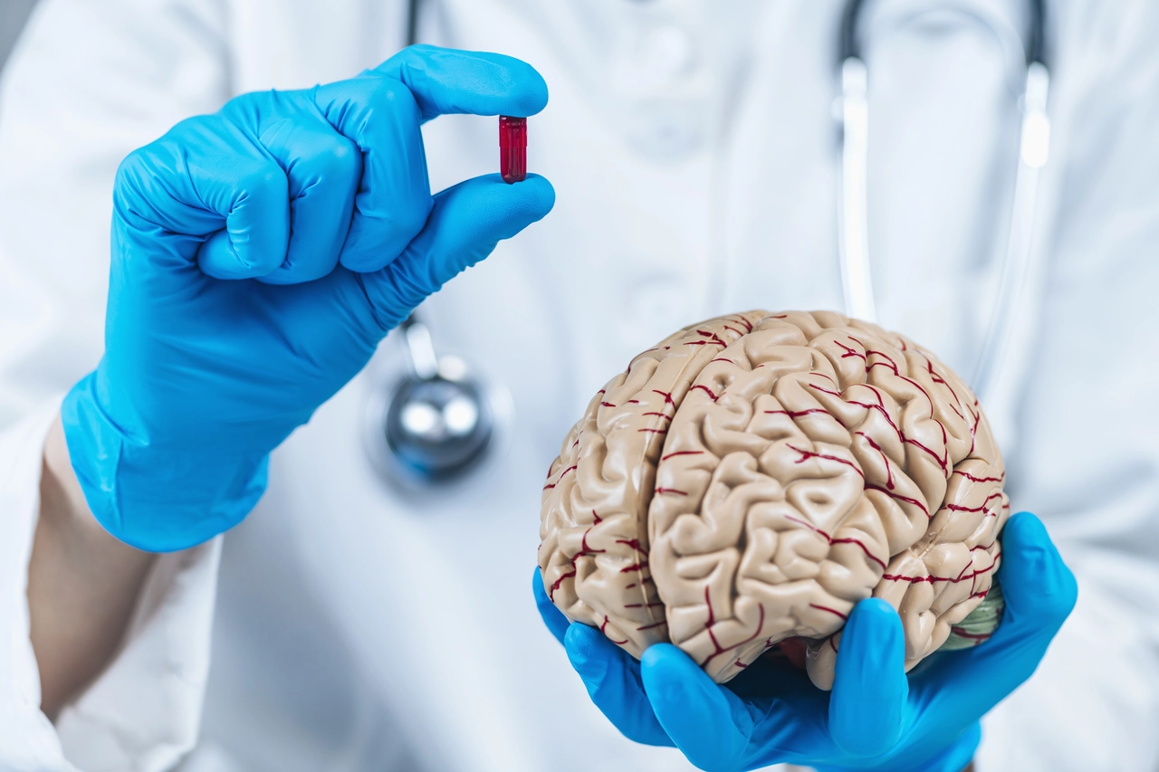 L’integratore naturale che potenzia la memoria dopo i 50 anni L’integratore naturale che potenzia la memoria dopo i 50 anni