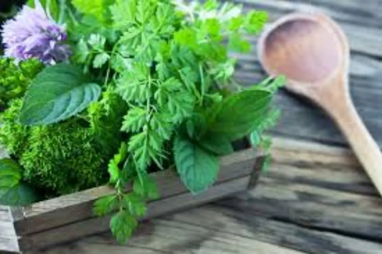 Sai quali erbe da cucina possono contribuire a dolori articolari ricorrenti? Sai quali erbe da cucina possono contribuire a dolori articolari ricorrenti?