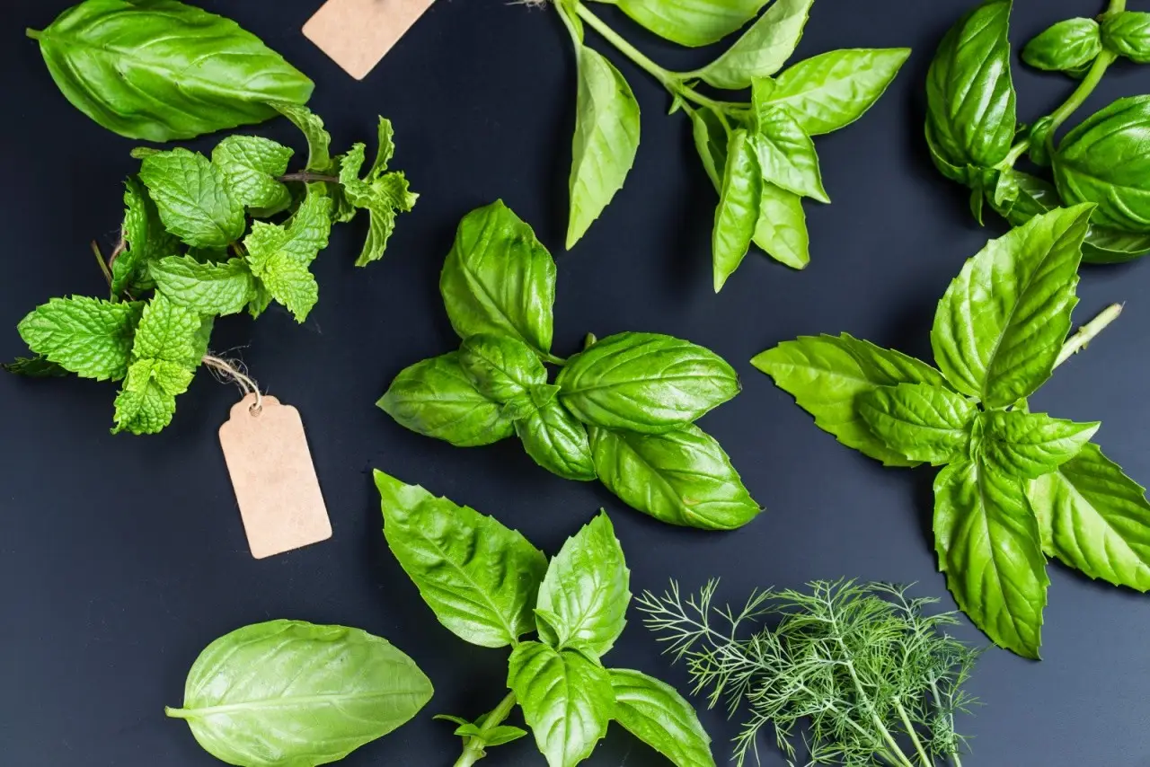 Sai quali erbe da cucina possono contribuire a dolori articolari ricorrenti? Sai quali erbe da cucina possono contribuire a dolori articolari ricorrenti?