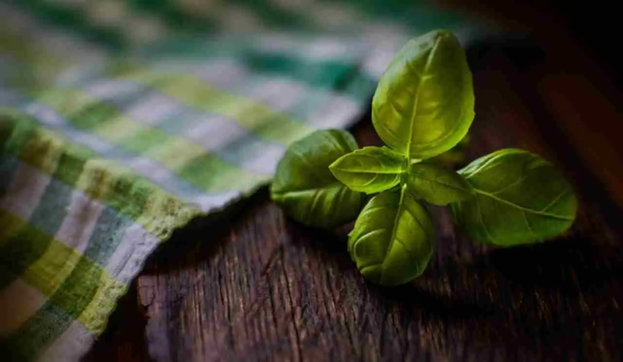 Sai quali erbe da cucina possono contribuire a dolori articolari ricorrenti? Sai quali erbe da cucina possono contribuire a dolori articolari ricorrenti?