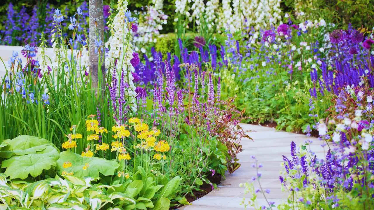 Piante che resistono al sole di giugno: ecco le più forti per il giardino Piante che resistono al sole di giugno: ecco le più forti per il giardino