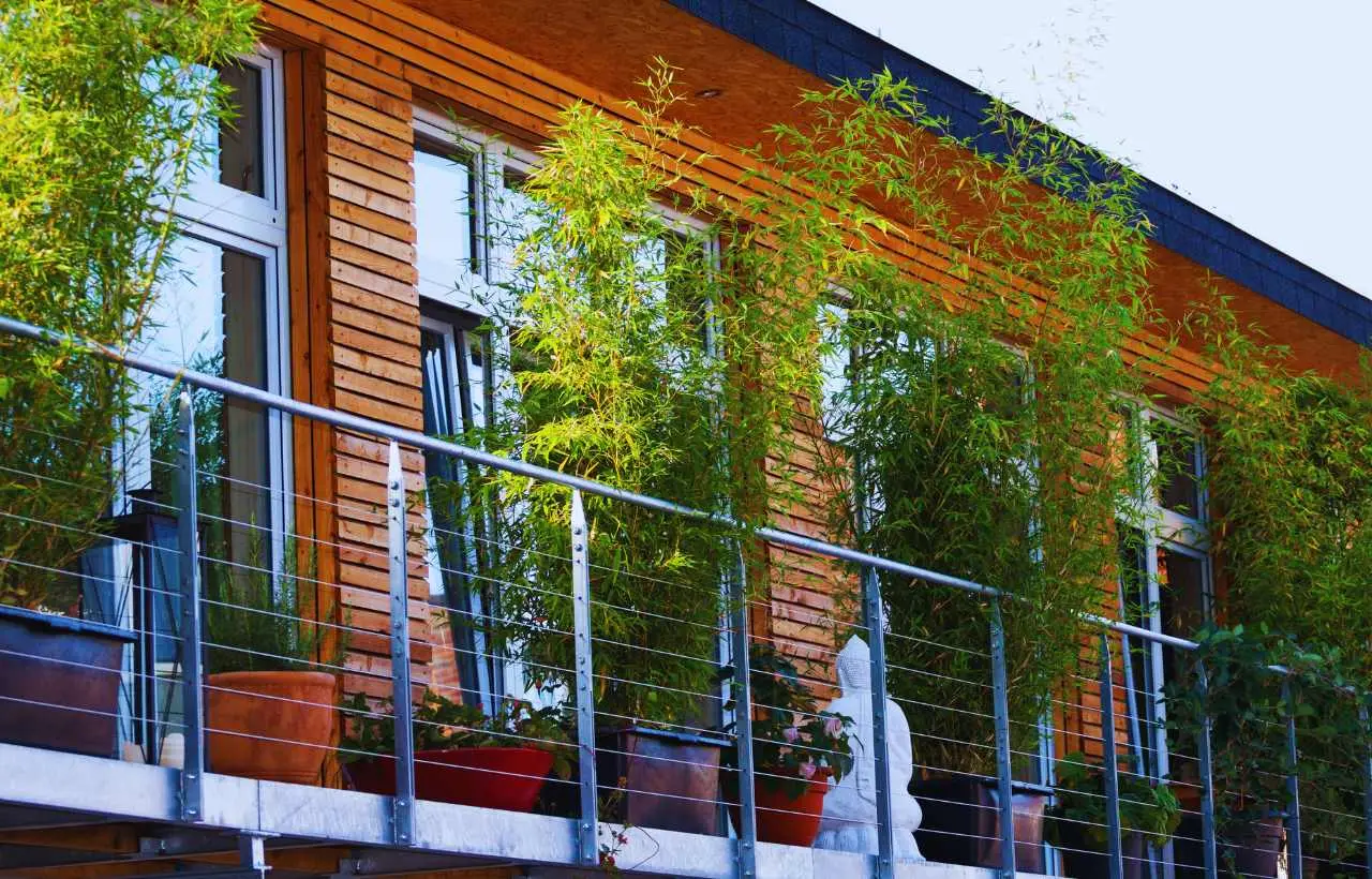 Piante che soffrono il vento: dove non metterle mai sul balcone Piante che soffrono il vento: dove non metterle mai sul balcone