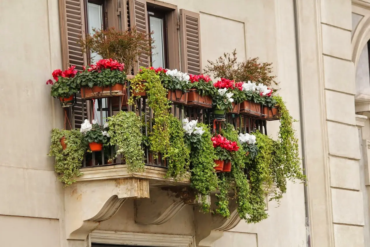 Piante che soffrono il vento: dove non metterle mai sul balcone Piante che soffrono il vento: dove non metterle mai sul balcone