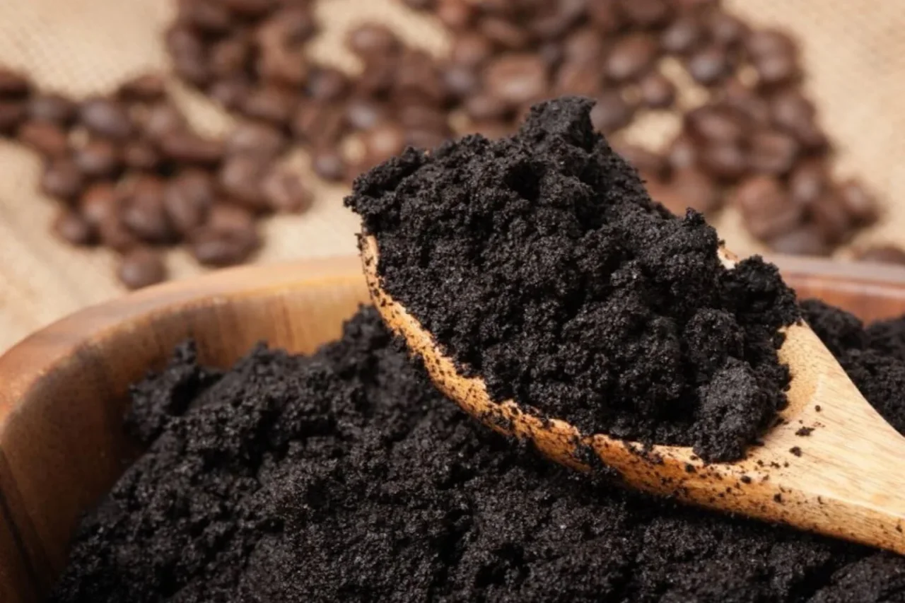 Fertilizzante naturale con i fondi di caffè: ecco come usarli correttamente Fertilizzante naturale con i fondi di caffè: ecco come usarli correttamente