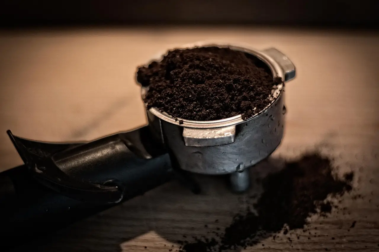 Fertilizzante naturale con i fondi di caffè: ecco come usarli correttamente Fertilizzante naturale con i fondi di caffè: ecco come usarli correttamente