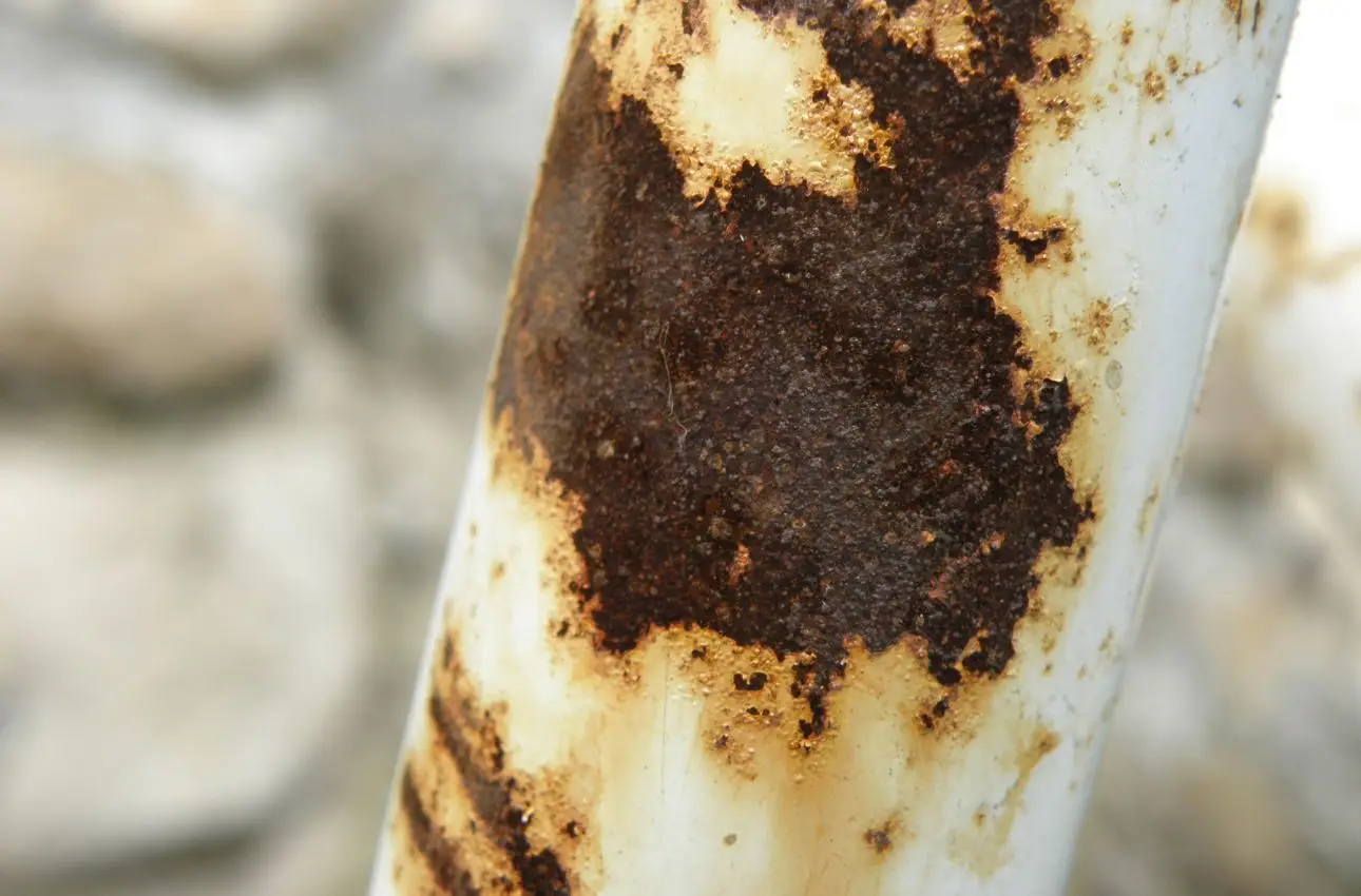 Non usare mai l’ammoniaca su questi materiali: ecco quali rovini per sempre Non usare mai l’ammoniaca su questi materiali: ecco quali rovini per sempre