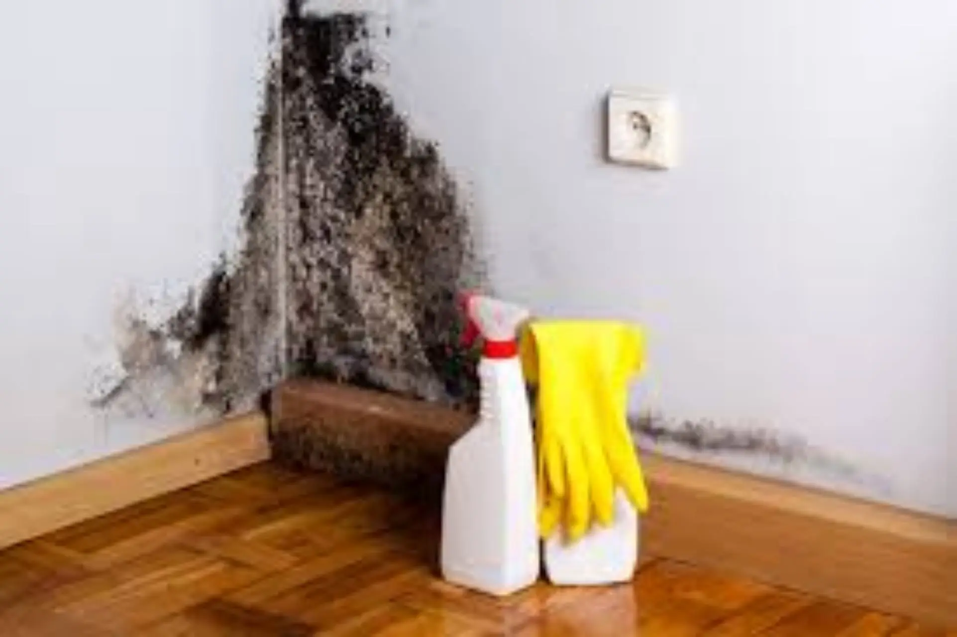 Come eliminare la muffa dalle pareti senza candeggina: il metodo più efficace Come eliminare la muffa dalle pareti senza candeggina: il metodo più efficace